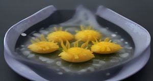 91视频网站短视频精选集锦，城市街头创意舞蹈表演，活力四射的青春氛围